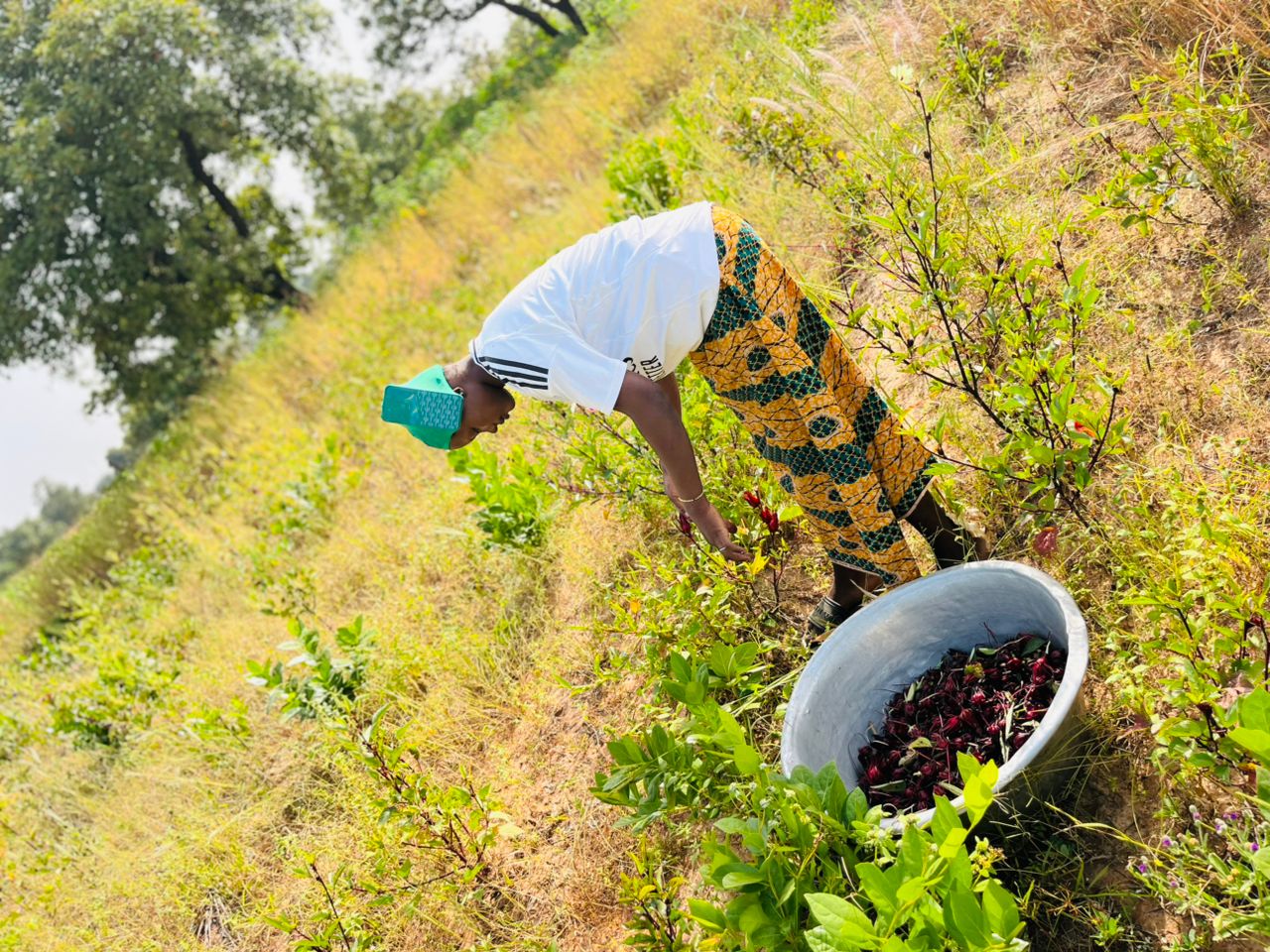 Angbanlife sustainability